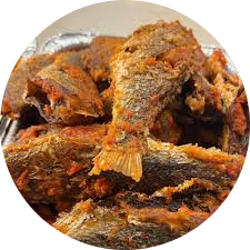 Peppered croakerfish
