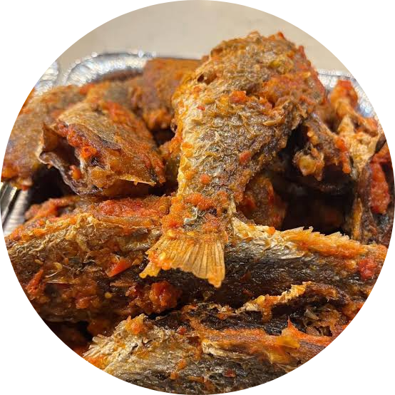 Croaker Fish